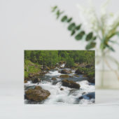 Wild Creek Briefkaart (Staand voorkant)