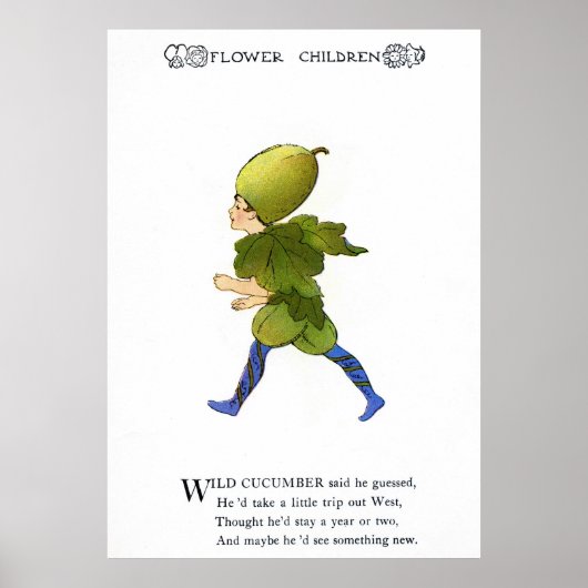 Wild Cucumber Poster (Voorkant)