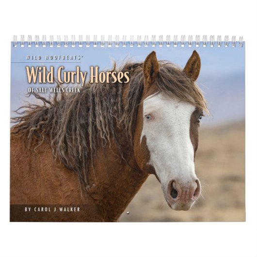 Wild Curly Horses of Salt Wells Creek Kalender (Hoes)