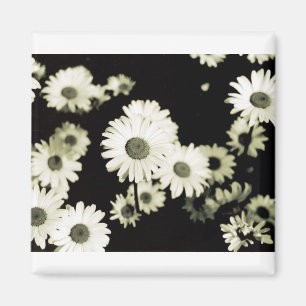 Wild Daisies, overgenomen op Mackinac Island, Mich Magneet