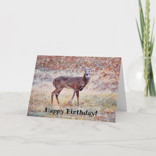 Wild Deer Buck  Pun Birthday Card Bedankkaart