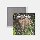 Wild Deer Fawn Wilderness Cadeaux Magnets (Recto/Verso)