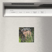 Wild Deer Fawn Wilderness Cadeaux Magnets (In Situ (Lave-vaisselle))