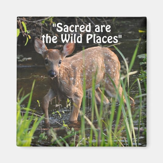 Wild Deer Fawn Wilderness Cadeaux Magnets (Devant)
