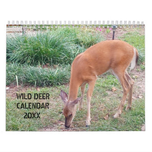 Wild Deer fotografie Kalender