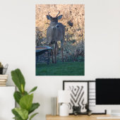 Wild Deer Poster (Thuiskantoor)