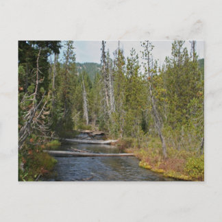 Wild Deschutes River, Oregon Briefkaart