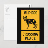Wild Dog Crossing Place, Sign, Zimbabwe Briefkaart (Voorkant / Achterkant)
