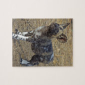 Wild Dog Puppy Legpuzzel (Horizontaal)