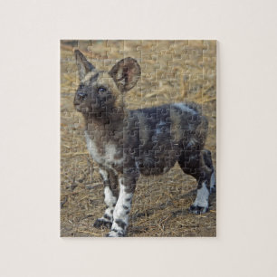 Wild Dog Puppy Legpuzzel