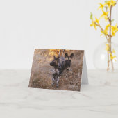 Wild Dogs Wenskaart Kaart (Gele Bloem)