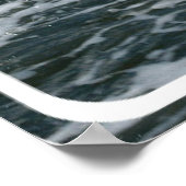 Wild Dolphin Poster afdrukken (Hoek)