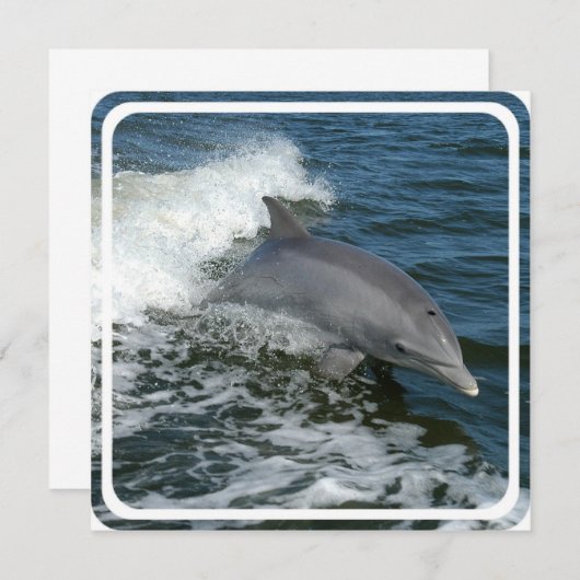 Wild Dolphin Uitnodiging (Voorkant / Achterkant)
