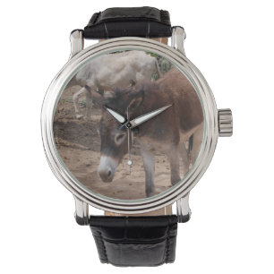 Wild Donkeys Horloge