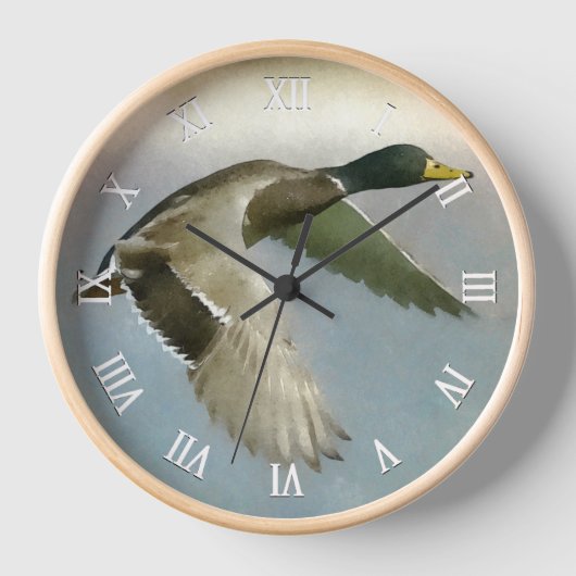 Wild Duck in vlucht (Voorkant)