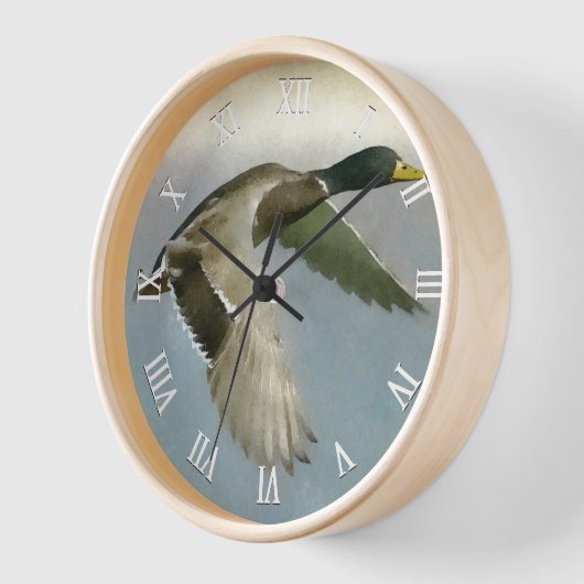 Wild Duck in vlucht (Hoek)