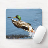 Wild Duck - Muismat (Met muis)