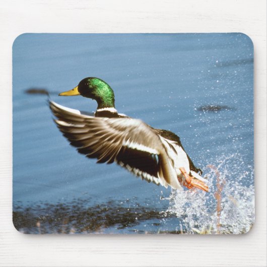 Wild Duck - Muismat (Voorkant)