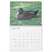 Wild Ducks Kalender (Mar 2027)