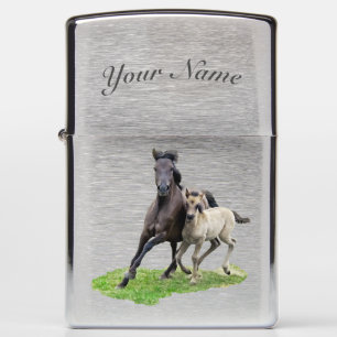 Wild Dulmen Horse Cute Foal Gallop Foto - naam