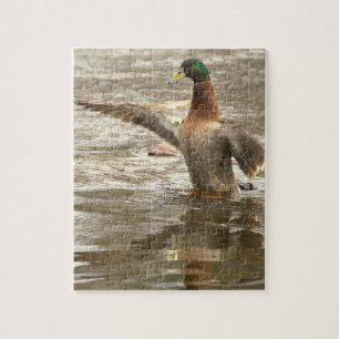 Wild-Eend Foto Puzzel