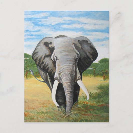 Wild Elephant Briefkaart (Voorkant)