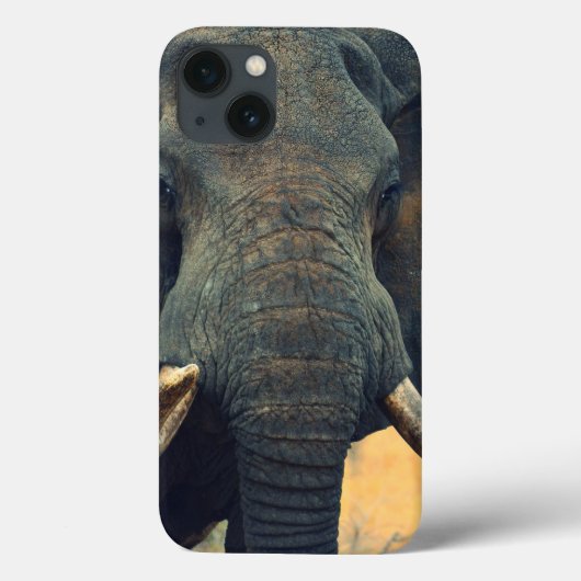 Wild Elephant sluit iPad Mini hoesje af (Achterkant)