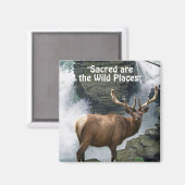 Wild Elk & Cascade Wilderness Magnets cadeaux (Recto/Verso)