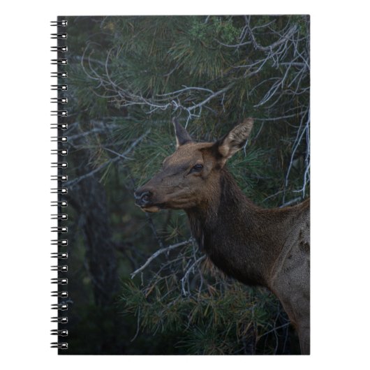 Wild Elk In Pine Forest - Deer Wildlife Photograph Notitieboek (Voorkant)