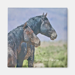 Wild en vrij, Magnet Magneet