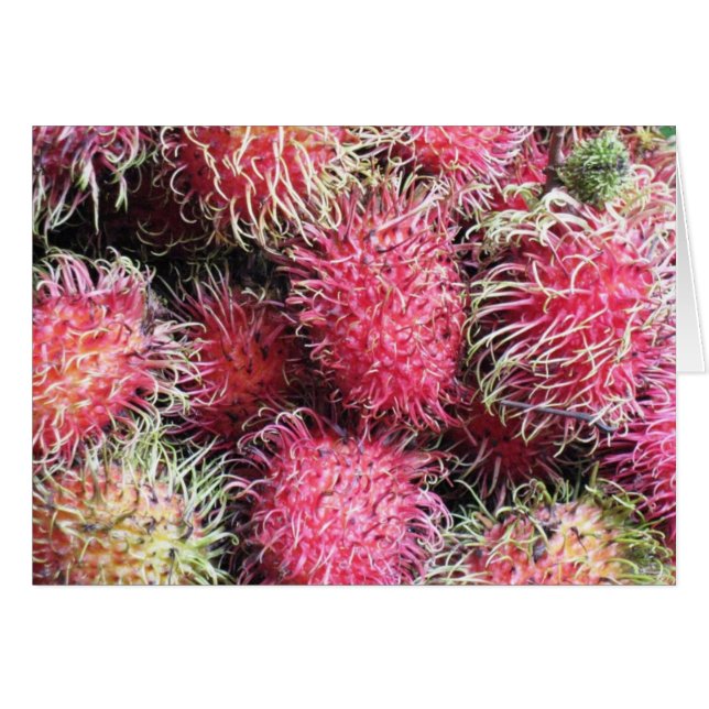 Wild en Wooly Rambutan (Voorkant Horizontaal)