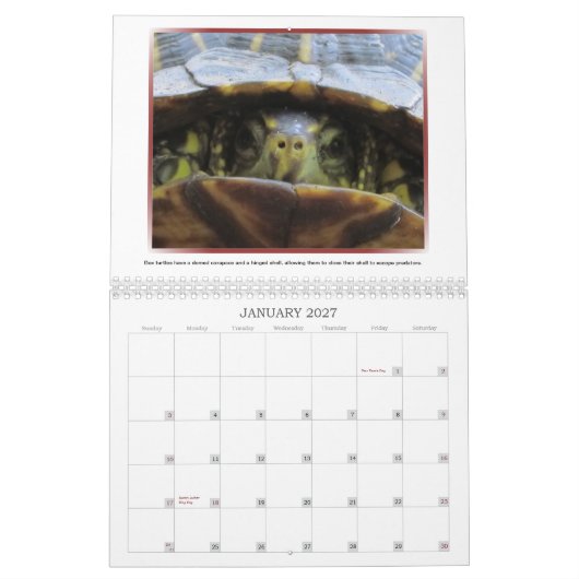 Wild Faces 2013 Agenda Kalender (Jan 2027)