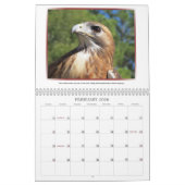 Wild Faces 2013 Agenda Kalender (Feb 2026)