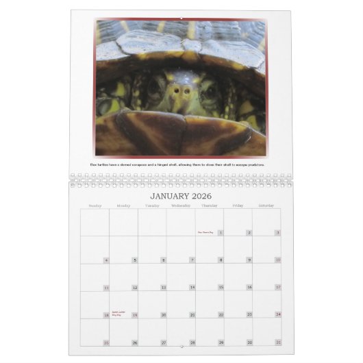 Wild Faces 2013 Agenda Kalender (Jan 2026)