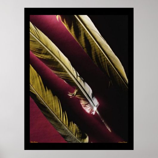 Wild Feathers Poster (Voorkant)