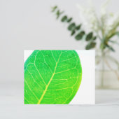 Wild Fig Rich Green Leaf Texture Briefkaart (Staand voorkant)
