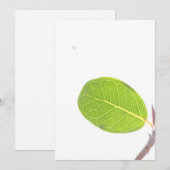 Wild Fig Rich Green Leaf Texture Kaart (Voorkant / Achterkant)