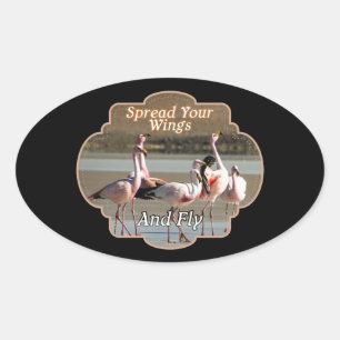 Wild Flamingo's - Spreid je vleugels en vlieg Ovale Sticker