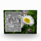 Wild Fleabane Daisy Flower Creëer Uw Eigen Fotoblokken (Voorkant)