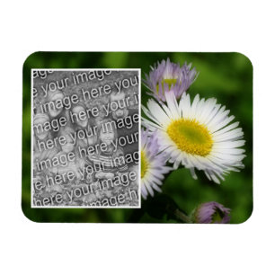Wild Fleabane Daisy Flower Lijst Uw foto toevoegen Magneet