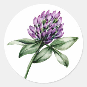 Wild Flower Clover Paarse Bud Ronde Sticker