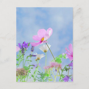 Wild Flowers Blue Sky Briefkaart