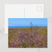 Wild Flowers Briefkaart (Voorkant / Achterkant)