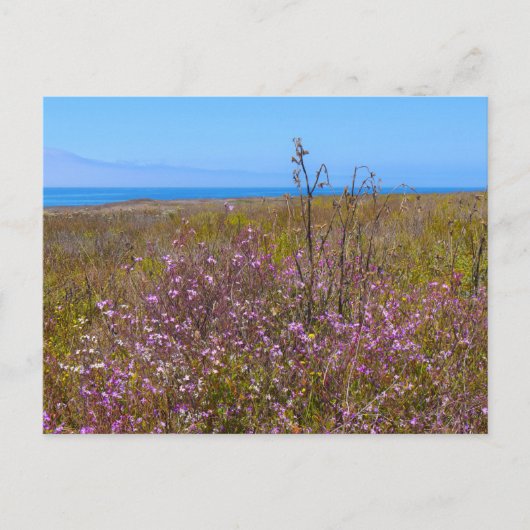 Wild Flowers Briefkaart (Voorkant)