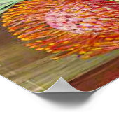 Wild Flowers of Ceres, West Africa Poster (Hoek)