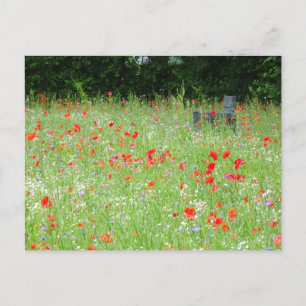 Wild Flowers Poppies Bench DIY Briefkaart