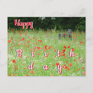 Wild Flowers Poppies Bench Happy Birthday Briefkaa Briefkaart