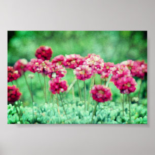 Wild Flowers Poster