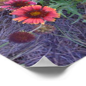 Wild Flowers Poster (Hoek)