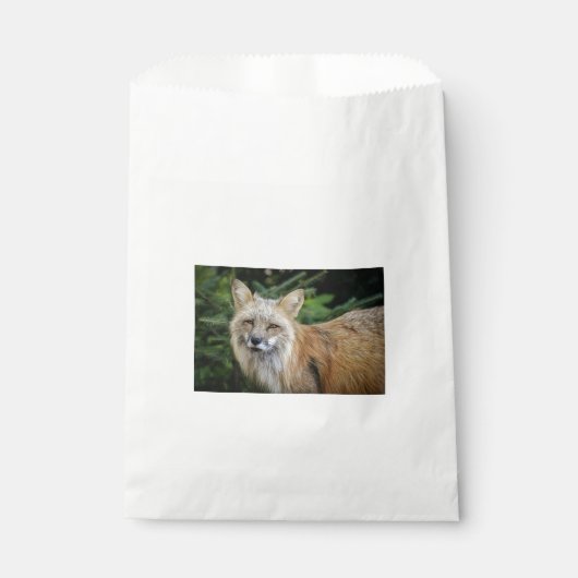 Wild Fox Bedankzakje (Voorkant)